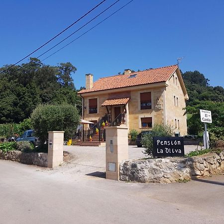 La Oliva Hotel Orena Exterior photo